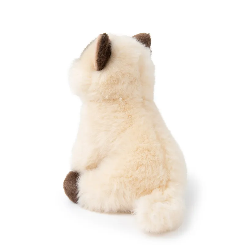 B.T.CHAPS - PELUCHE EDDY LE SIAMOIS & SA BOITE - littlecasba.com