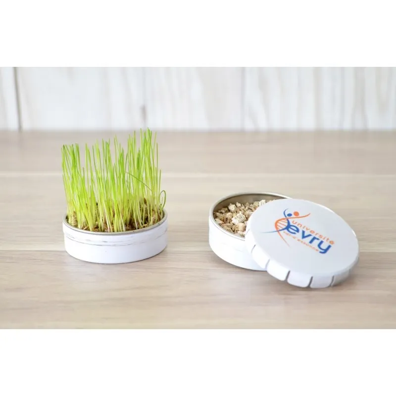 Kit de plantation boite métallique "clic-clac" - Personnalisation incluse