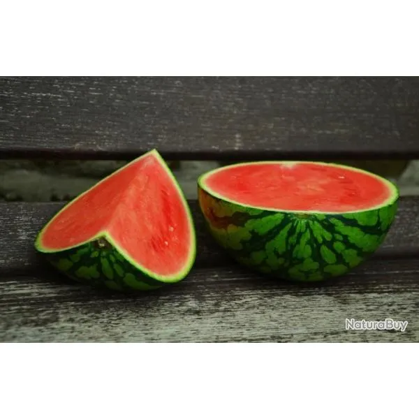 Lot de 25 Graines de Pastèque Crimson Sweet - Rafraîchissant et Diététique - Ronds très sucrée