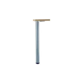 Pied snack- 1 100 mm diamètre 60 Gris RAL 9006 CAMAR 615100101RN